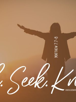 Lotus Flare Creative 5894549367520161086_n