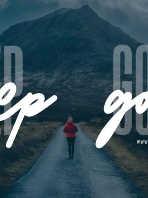 Lotus Flare Creative 6397873649342492271_n